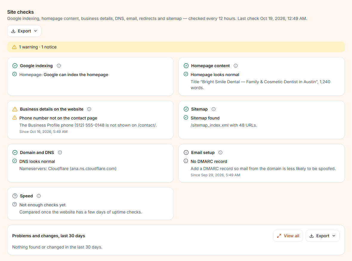 Site checks: Google indexing, homepage content, business details, sitemap, DNS, email, speed